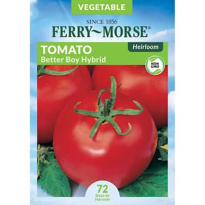 Tomato Better Boy Hybrid Seed