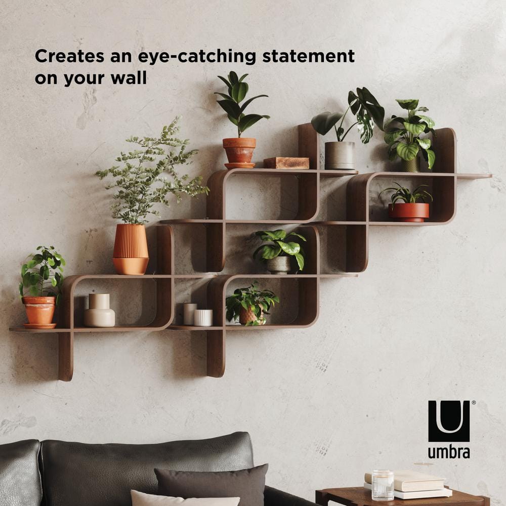 Elias Light Walnut Rubberwood Modern Wall Shelf