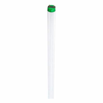 Philips 25-Watt 3 Ft. Linear T8 Fluorescent Tube Light Bulb Soft White ...