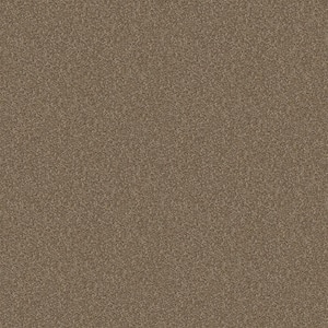 Alpine - Natural - Brown 17.3 oz. Polyester Texture Installed Carpet