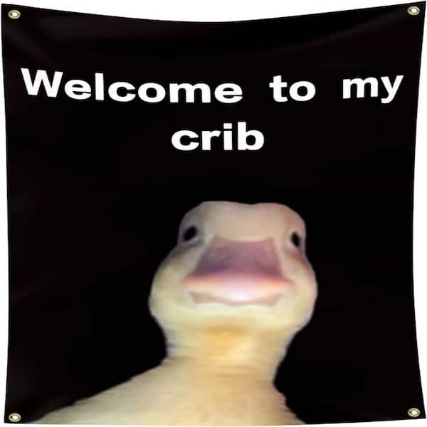 2x3ft funny flags for room decoration, outdoor, party