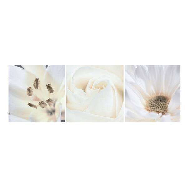AZ Home and Gifts Nexxt 12 in. x 12 in. "Tulip, Spidermum, Chrysanthemum" Floral 3-Panel Canvas Wall Art Set