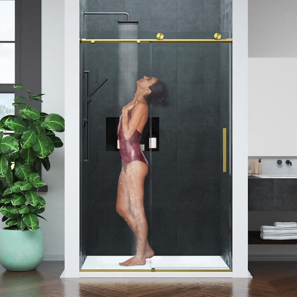 ANZZI Mountain 48 in. Reversible Frameless Sliding Glass Shower