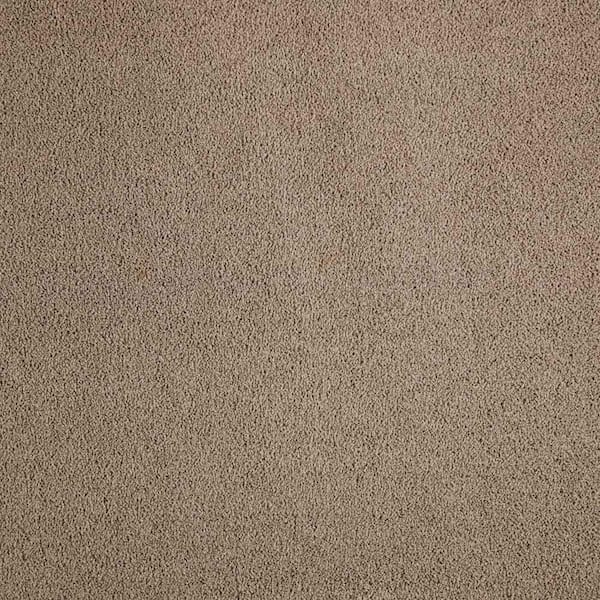 Gazelle II  - Steam Boat Basin - Brown 55 oz. Triexta Texture Installed Carpet