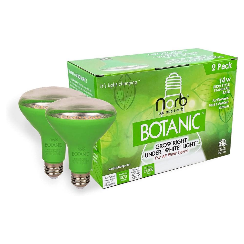 NorbBOTANIC 14W Green LED Grow Light Bulb 2-Pack