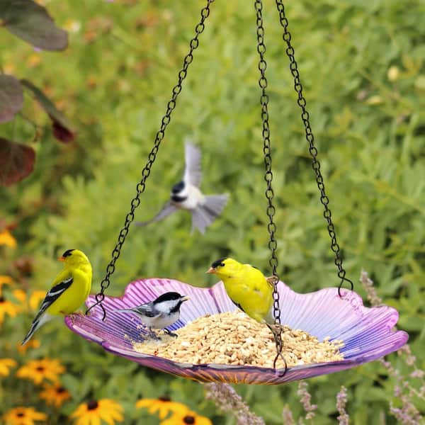 Nature's Way Ecocycle 0.63 qt. Glass/Metal Hanging Bird Feeder