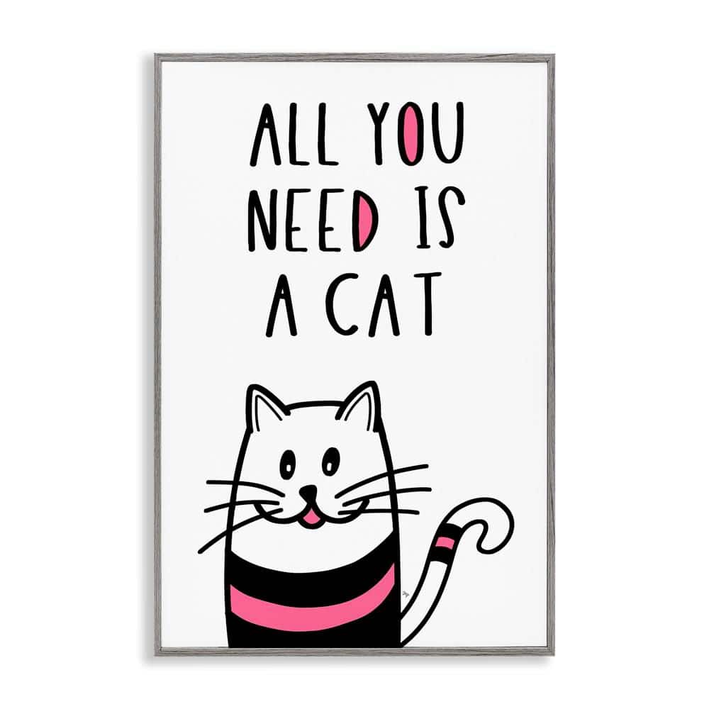 All You Need is Cat by Martina Pavlova Gray Framed Typography Giclee Art Print 30 in. x 20 in. price history on PriceWatchPro