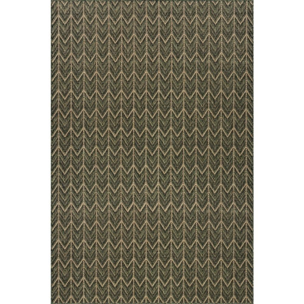 Calissea Chevron Green 5 ft. x 8 ft. Outdoor Area Rug price history on PriceWatchPro