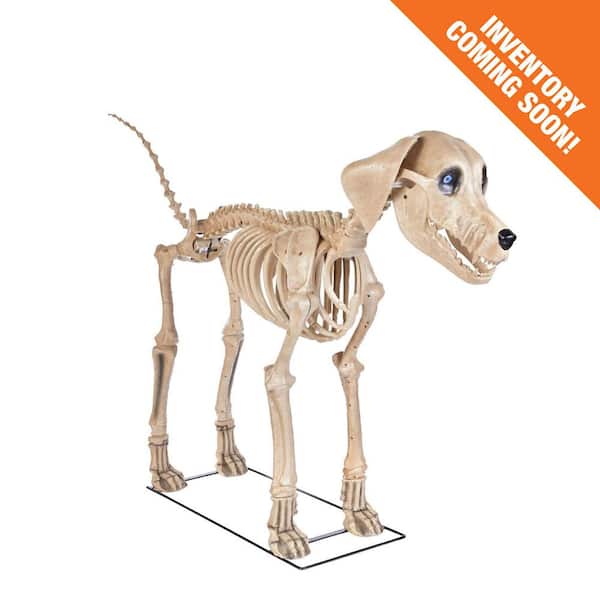 7 ft. Long Grave & Bones Skelly's Dog with LifeEyes LCD Eyes