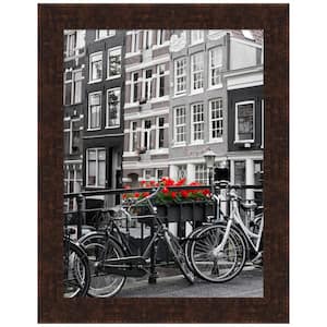 Opening Size 18 in. x 24 in. William Mottled Bronze Narrow Picture Frame