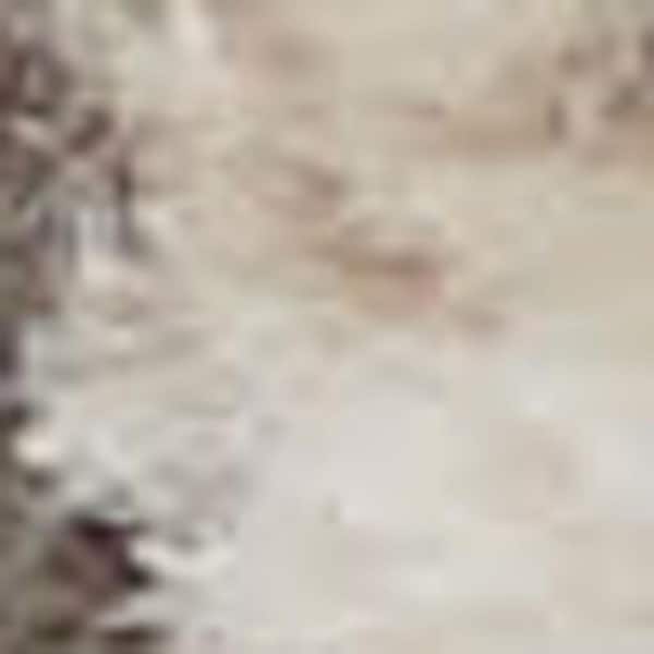 5 ft. x 5 ft. Gray Medallion Washable Area Rug