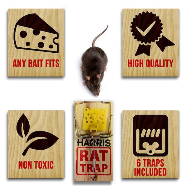 d-CON Wooden Mouse Snap Trap, 4 Traps, Pre-Baited & Non-Poisonous