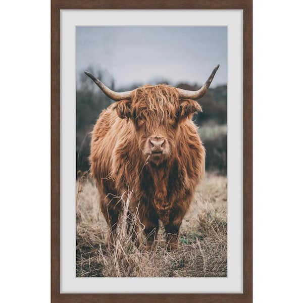 Unbranded "Hairy Coos" by Marmont Hill Framed Animal Art Print 36 in. x 24 in.