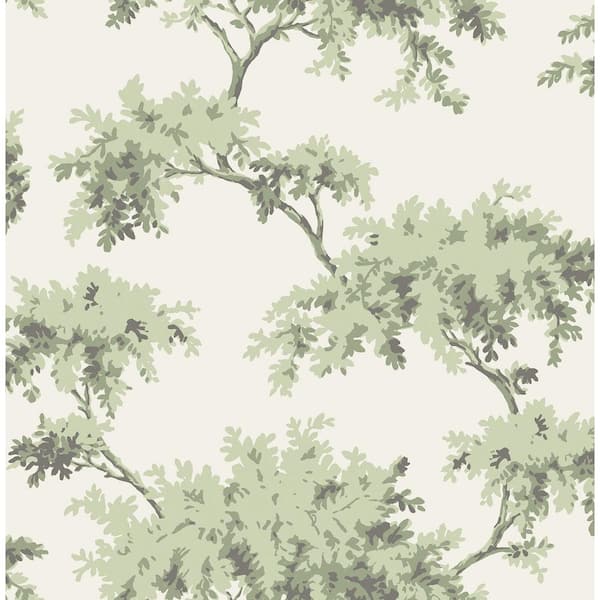 Green Sage Alder Peel and Stick Wallpaper Sample