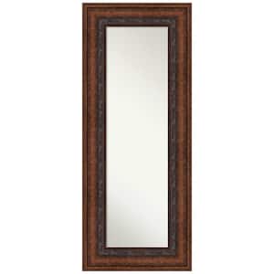 Non-Beveled Decorative Bronze 23.5 in. W x 57.5 in. H On the Door Mirror Full Length Mirror