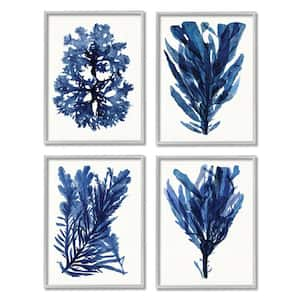 Indigo Blue Ocean Plants Coastal Kelp by Stellar Design Studio 4-Piece Framed Print Nature Art 16 in. x 20 in.