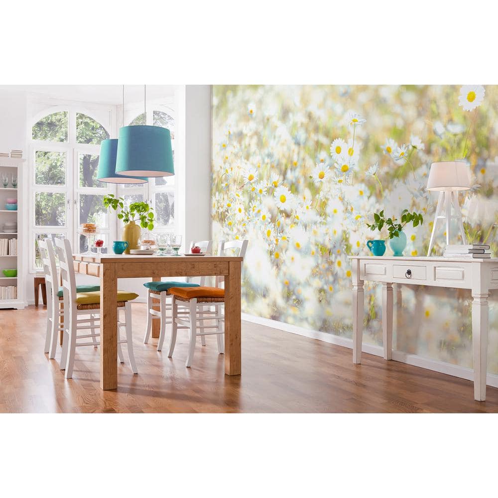 Komar Floral Daisies Wall Mural 8994 The Home Depot