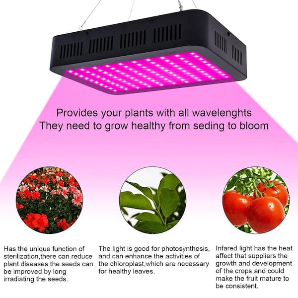 1000w LED Grow Light with Bloom and Veg Switch,iPlantop Triple-Chips LED Plant Growing Lamp Full Spectrum with Daisy Chained Design for Professional Greenhouse Hydroponic Indoor Plants White 