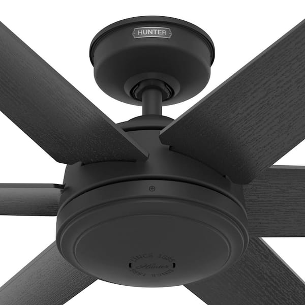Hunter - Jetty 52 in. Outdoor Matte Black Ceiling Fan with Wall Control For Patios or Bedrooms