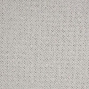 Abbottsgate Glam Gray 44 oz. Triexta Patterned Installed Carpet