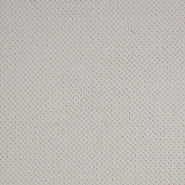 Lifeproof Abbottsgate Glam Gray 44 oz. Triexta Patterned Installed Carpet