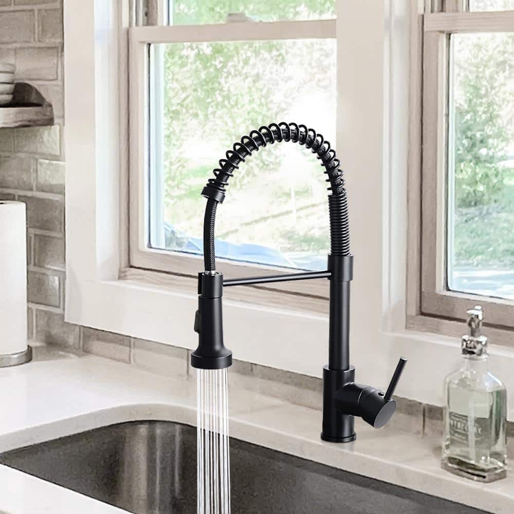 Matte Black Stainless Steel Pull-Down Kitchen Faucet with Spray