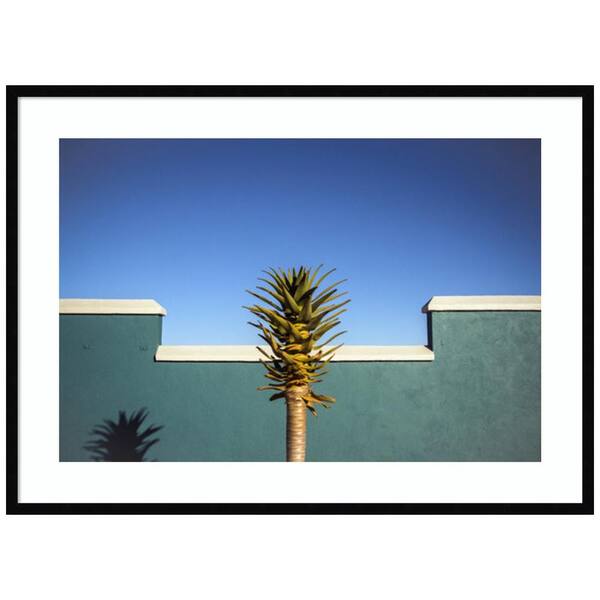 Amanti Art "Desert Blooms" by Lindaride 1Piece Framed Color Architecture Photography Wall Art