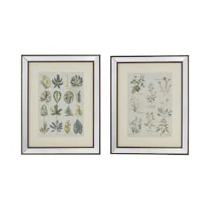 Liana Mirror 2-Piece Framed Nature Art Print 19.7 in. x 15.7 in. .