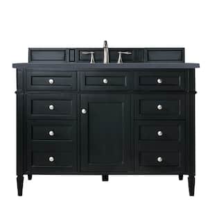 Brittany 48 in. W x 23.5 in.D x 34 in. H Single Bath Vanity in Black Onyx with Quartz Top in Charcoal Soapstone