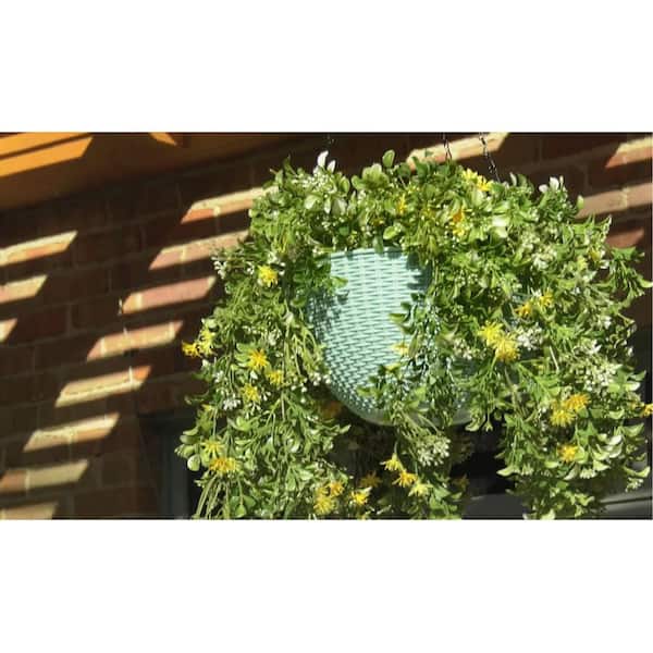 Ultimate Innovations by the DePalmas 12 in. Self-Watering Plastic Hanging Baskets (Set of 2)