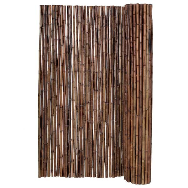 Backyard X-Scapes 6 ft. H x 8 ft. W Caramel Brown Rolled Bamboo Fence Decorative Fencing Panel