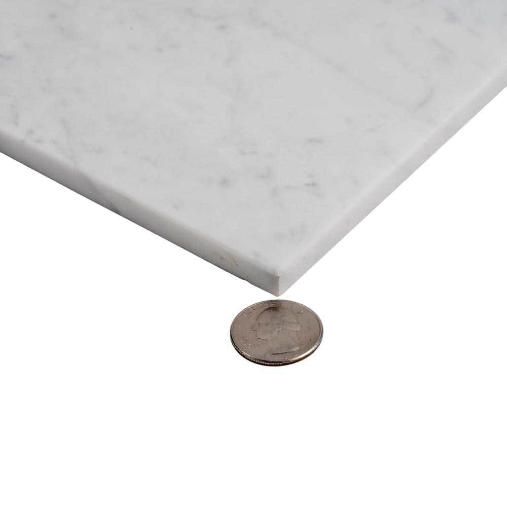 Gray 12" x 24" Polished Marble Wall and Floor Tile