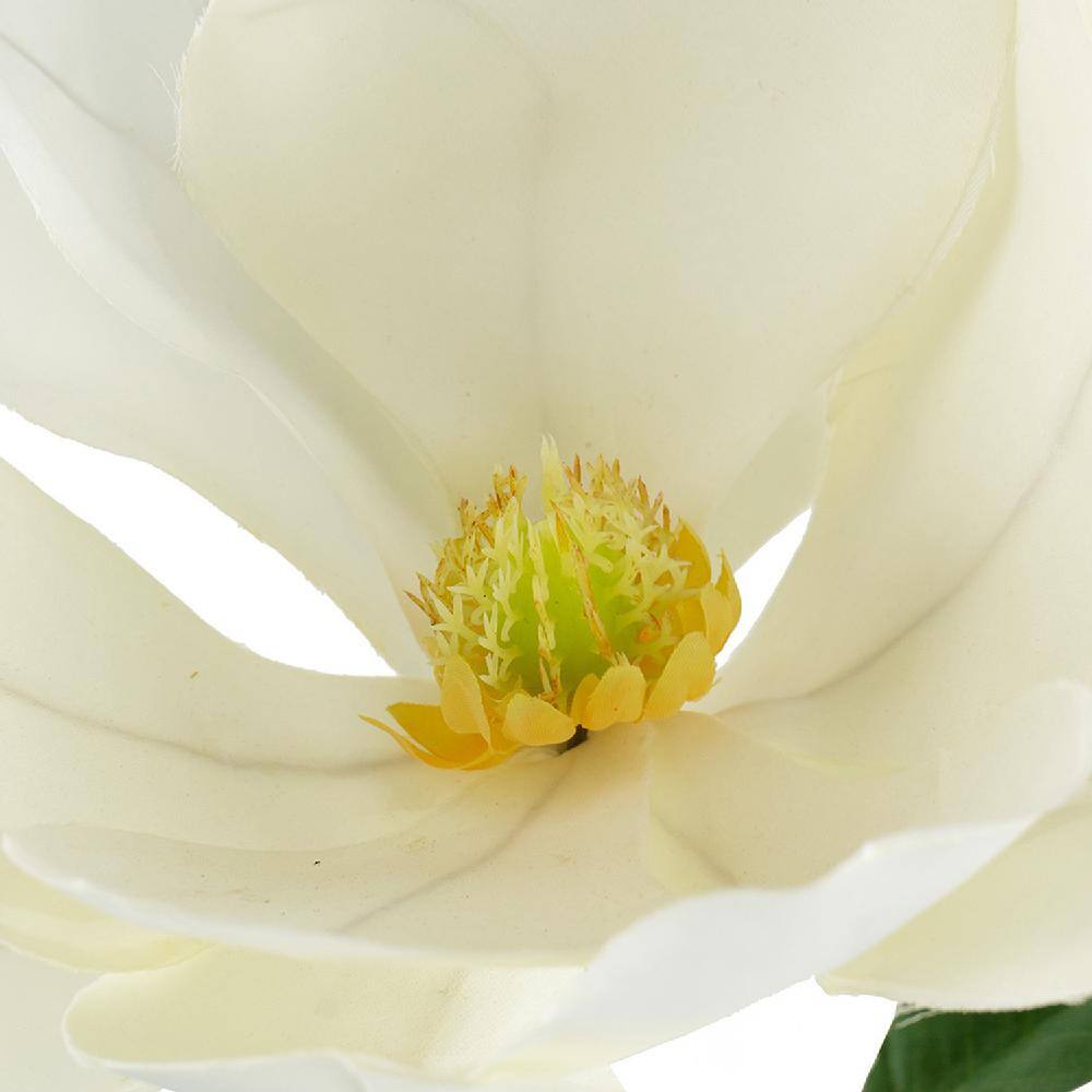 White Plastic Magnolia Stems Set of 6