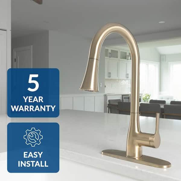 FLOW, Classic Series Single-Handle Pull-Down on sale Sprayer Kitchen Faucet in Champagne