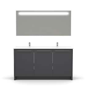 Benna 63 in.W x 20 in. D Vanity In Glossy Gray With Acrylic Top in White with Double White Basin and Mirror
