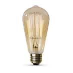 60-Watt ST19 Dimmable Cage Filament Amber Glass E26 Incandescent Vintage Edison Light Bulb, Warm White