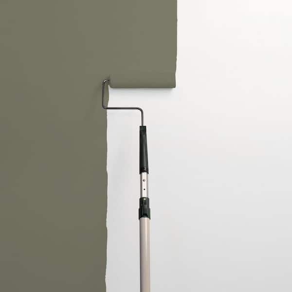 Organic PPG1029-6 Paint