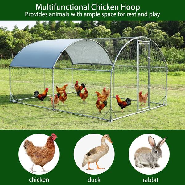 Order Chicken Coop & Poultry Netting Solutions - US Netting