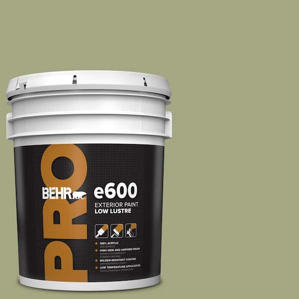 BEHR PRO 5 gal. #S370-4 Rejuvenation Low Luster Exterior Paint