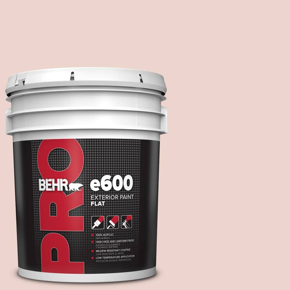 5 gal. #S170-1 Ole Pink Flat Exterior Paint price history on PriceWatchPro