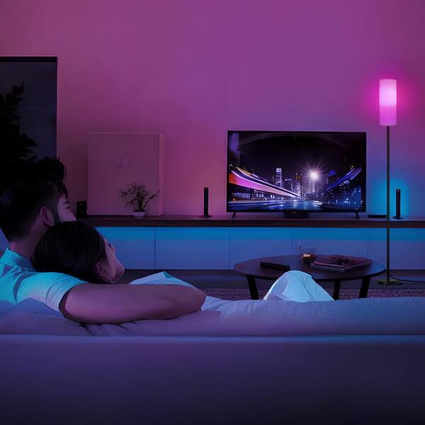 TOZING 67 in. Smart Black Modern 1 Light RGB LED Floor Lamp with