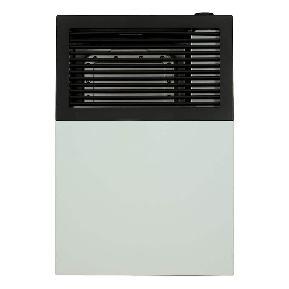  Ashley Direct Vent Propane Wall Heater 8,000 BTU