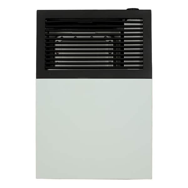 Ashley Direct Vent Propane Wall Heater 8,000 BTU
