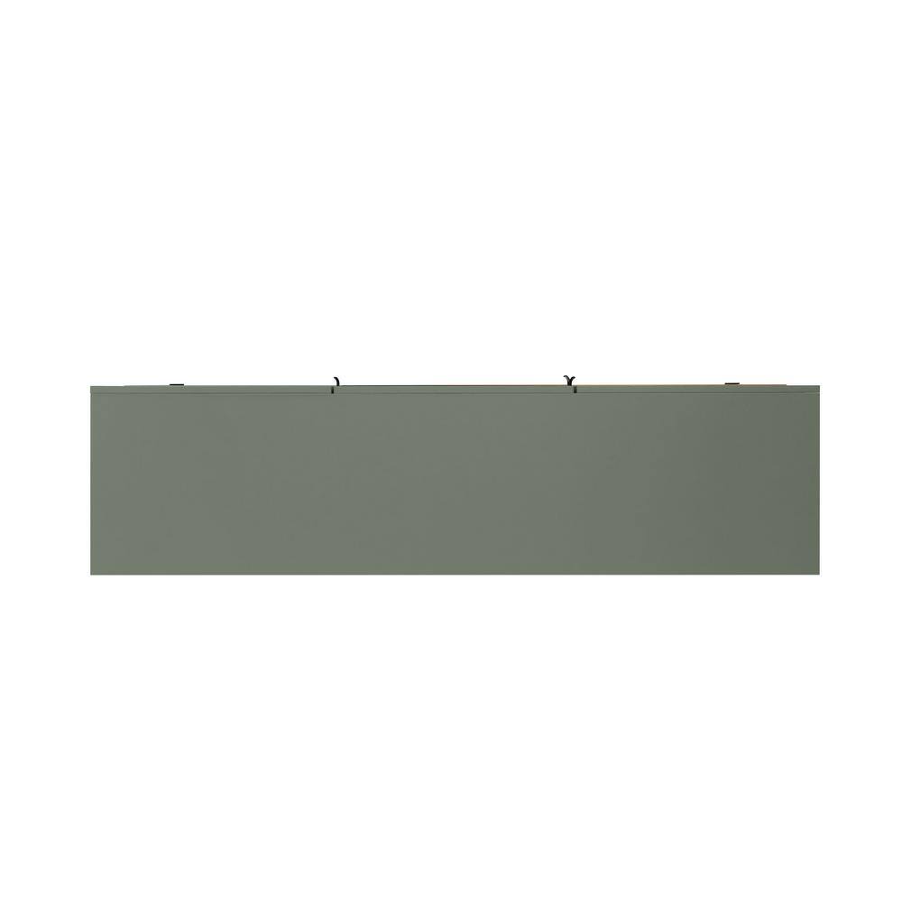 Sage Green and Distressed Oak Modern TV Stand with Cabinet