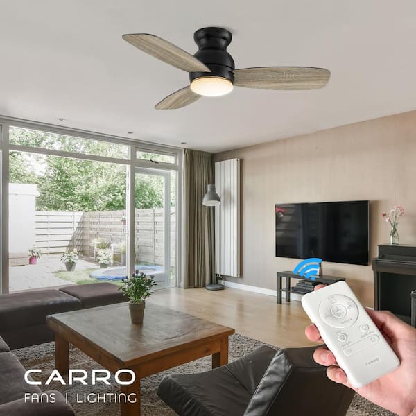 Arran II 44 in. Color Changing Integrated LED Indoor Black 10-Speed DC Ceiling Fan with Light Kit and Remote Control