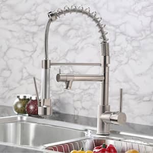 Single-Handles 2-Spout Pull Down Sprayer Kitchen Faucet in Brushed Chrome