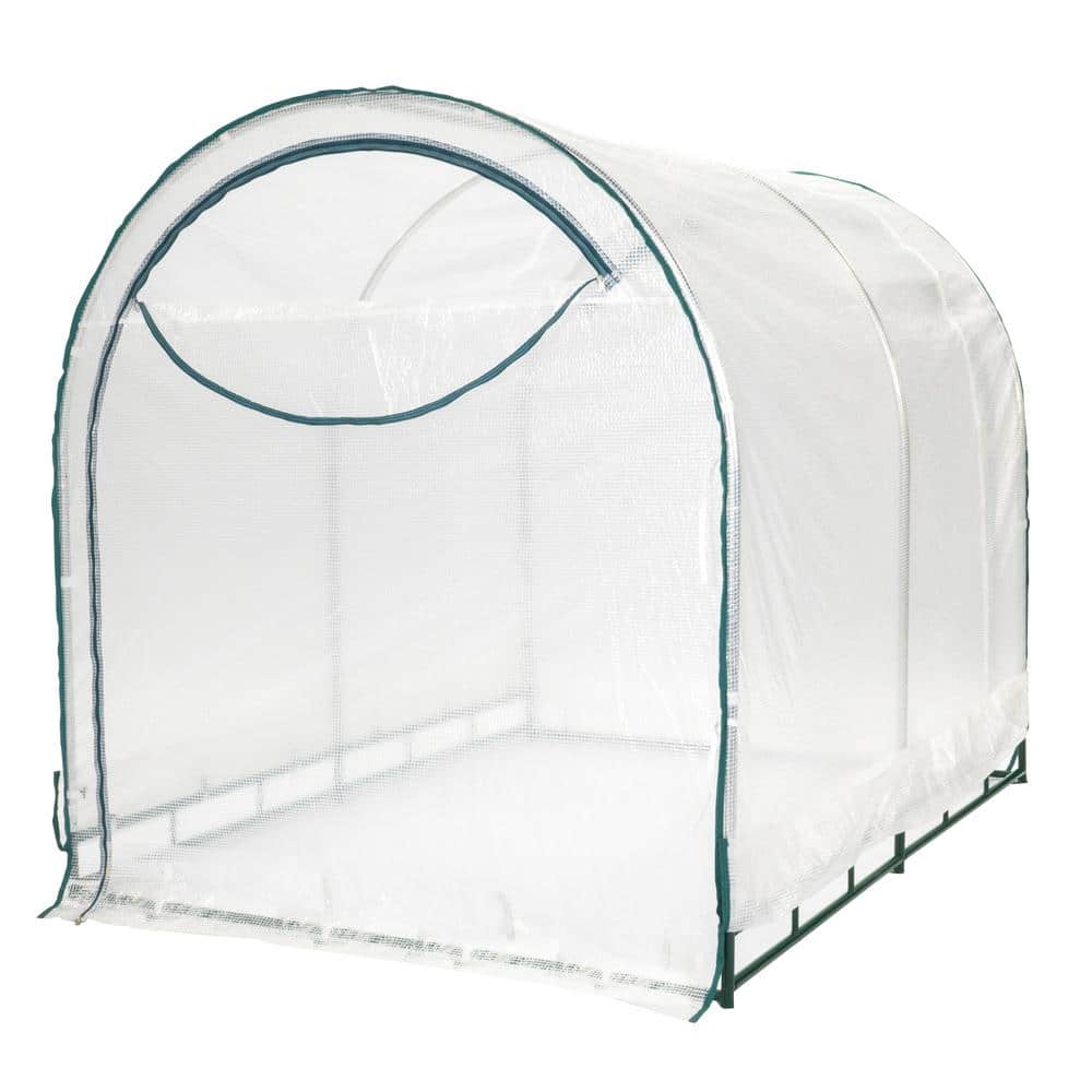 6' x 8' Clear Polyethylene Walk-In Greenhouse with Steel Frame