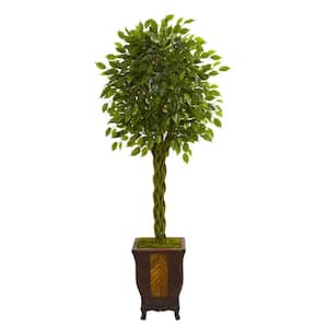 6 ft. High Indoor Braided Ficus Artificial Tree in Decorative Planter