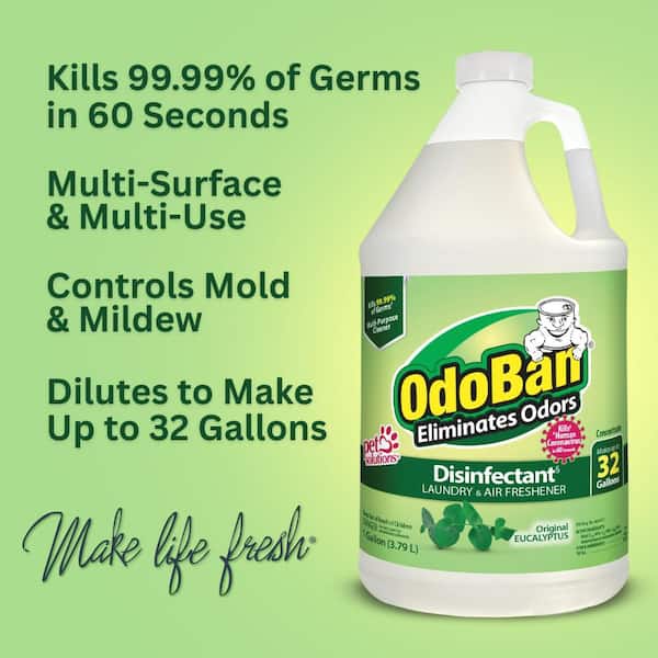 1 Gal. Eucalyptus Disinfectant and Odor Eliminator, Fabric Freshener, Mold Control, Multi-Purpose Concentrate (4-Pack)