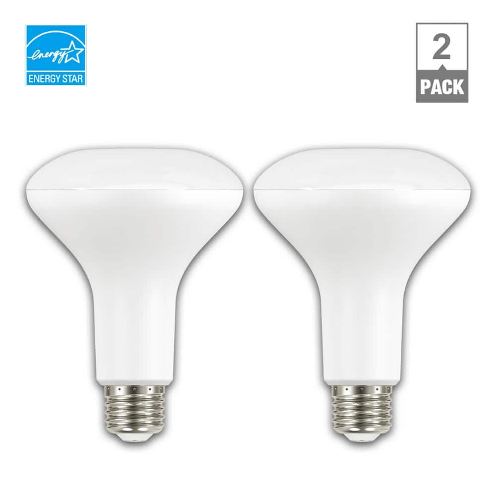 EcoSmart 90-Watt Equivalent BR30 Dimmable ENERGY STAR LED Light Bulb Daylight (2-Pack) -  A20BR3090WESD52